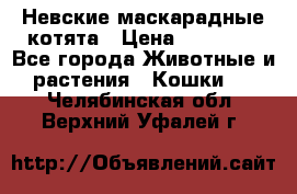 Невские маскарадные котята › Цена ­ 15 000 - Все города Животные и растения » Кошки   . Челябинская обл.,Верхний Уфалей г.
